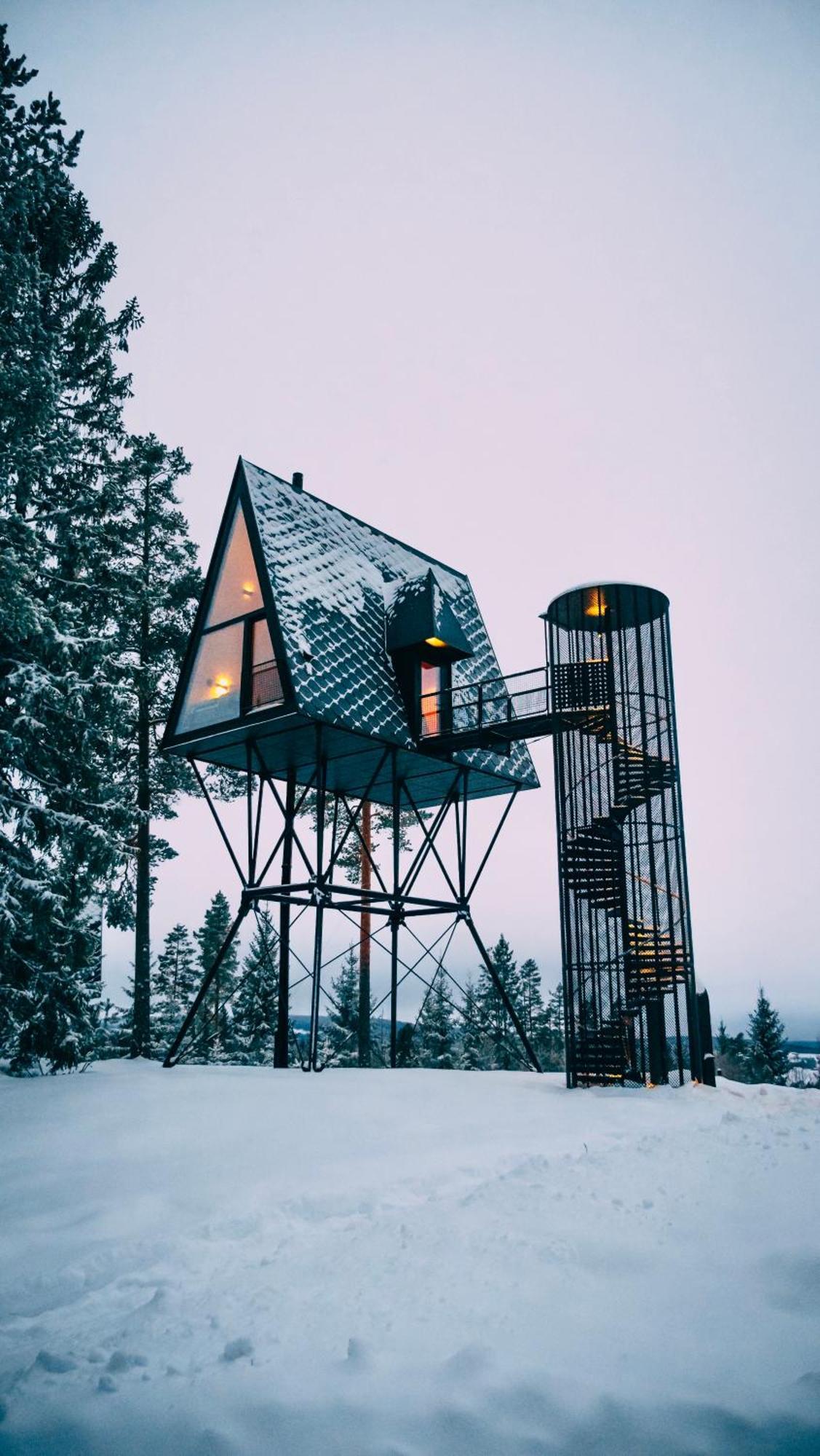 Lodge Pan Treetop