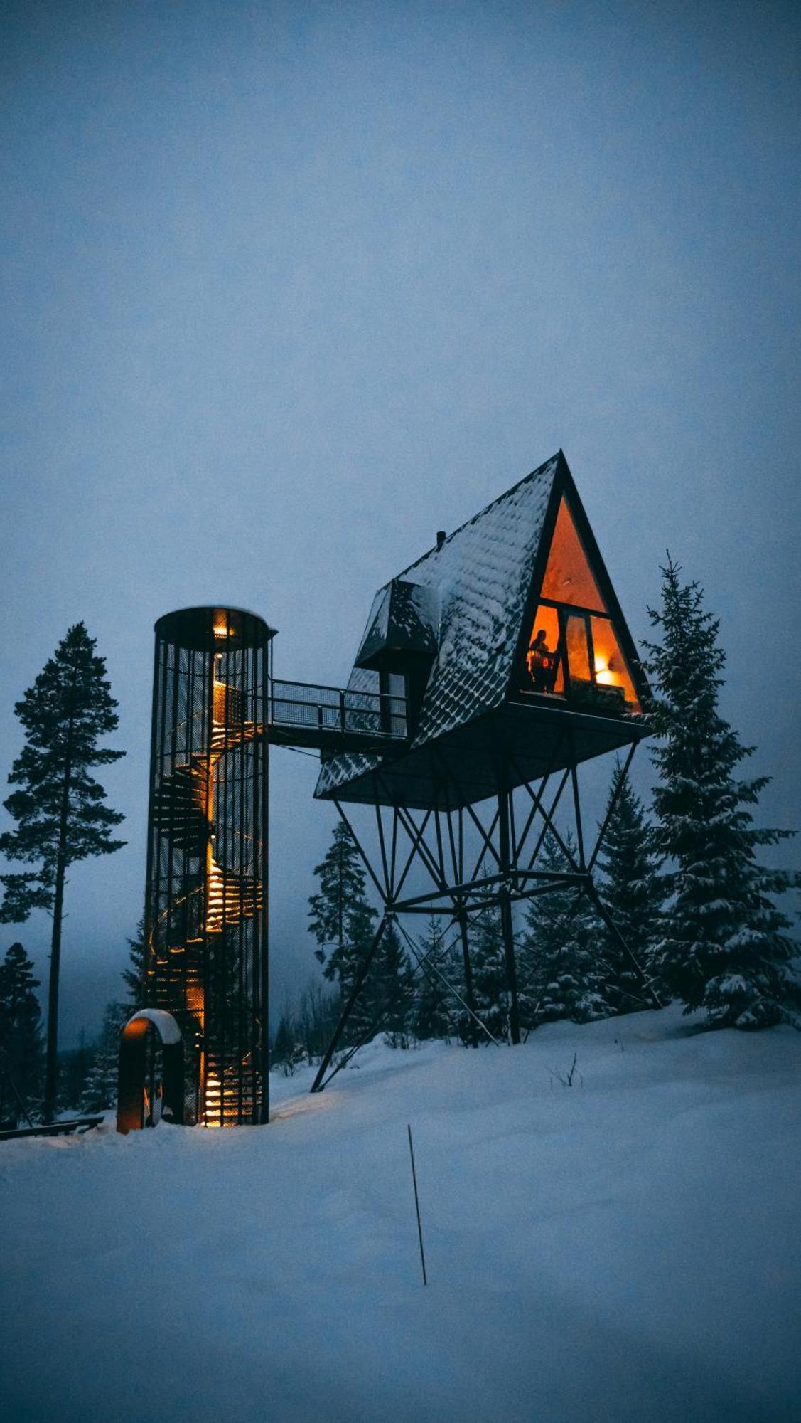 Pan Treetop *