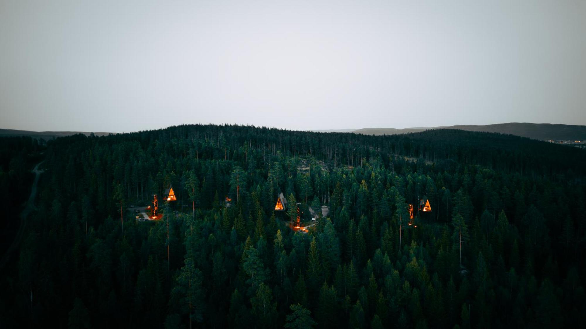 Lodge Pan Treetop