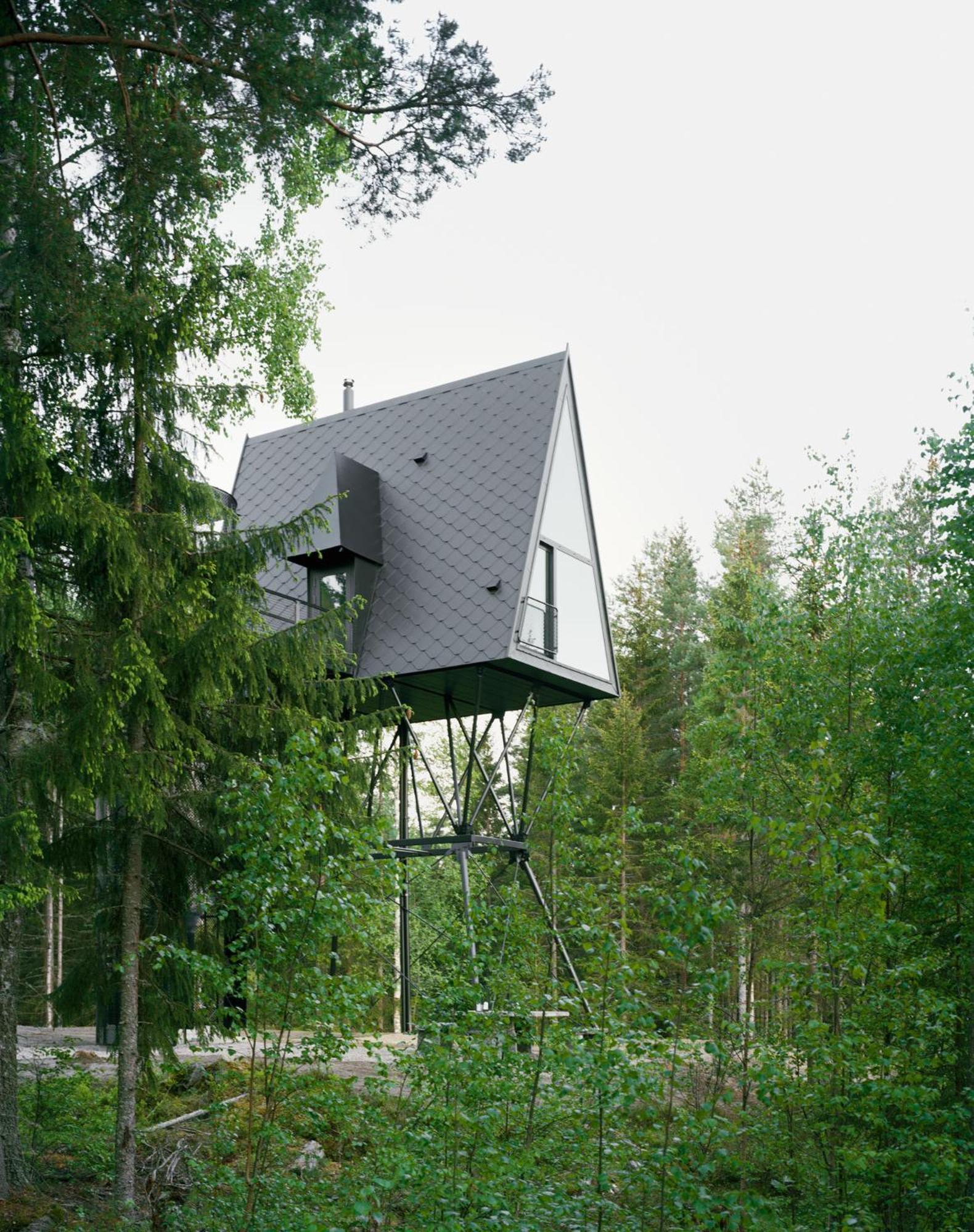 Pan Treetop *