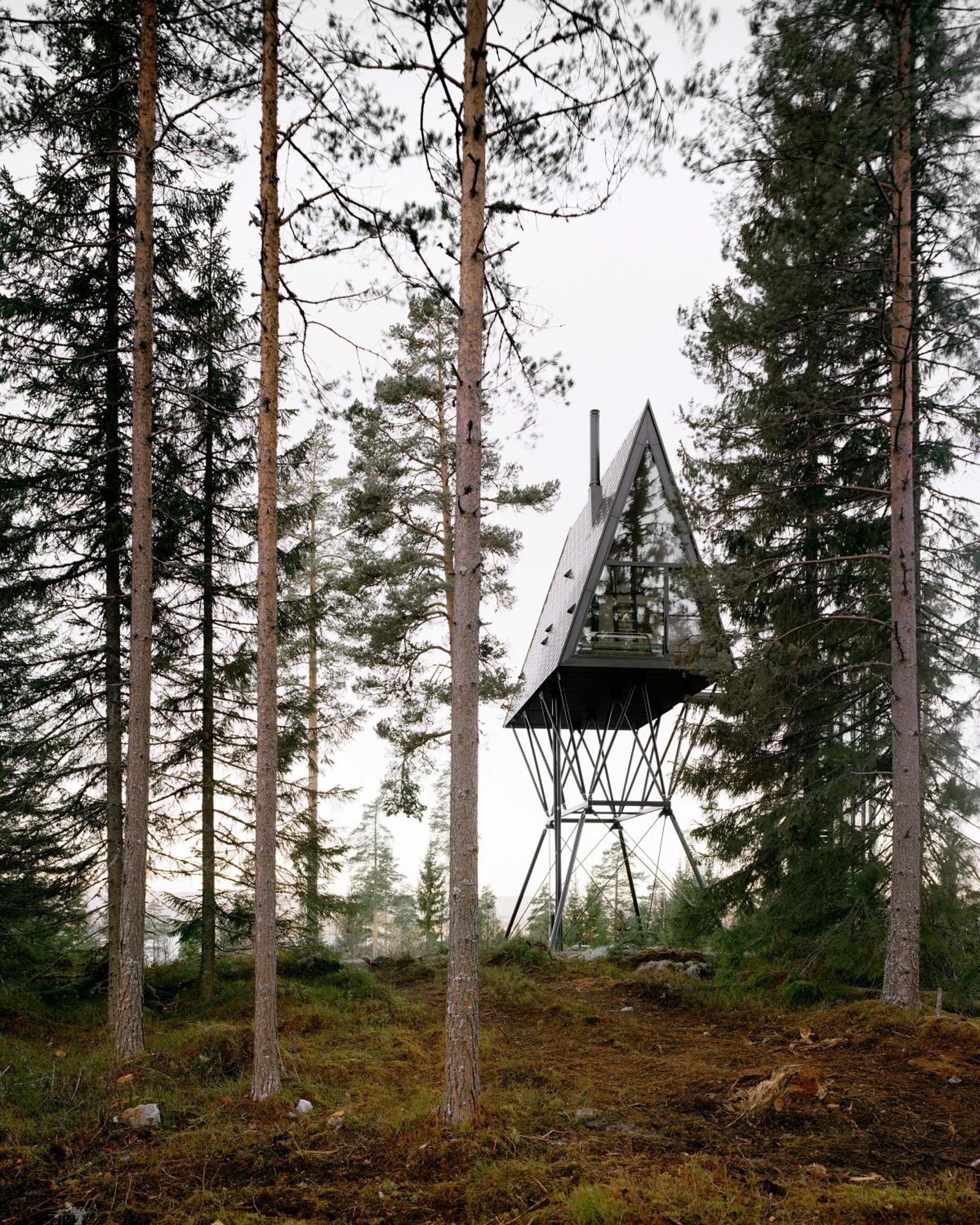 Pan Treetop Asnes
