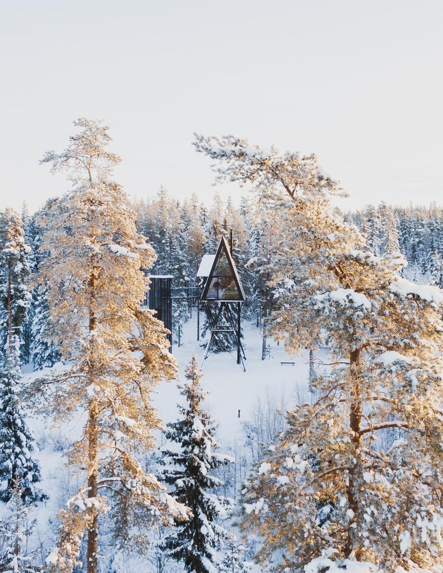 Pan Treetop * Asnes