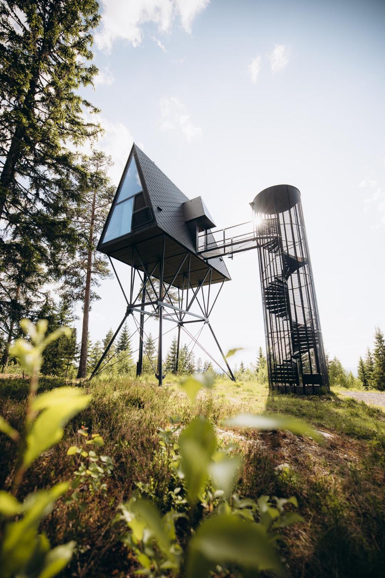 Pan Treetop Lodge