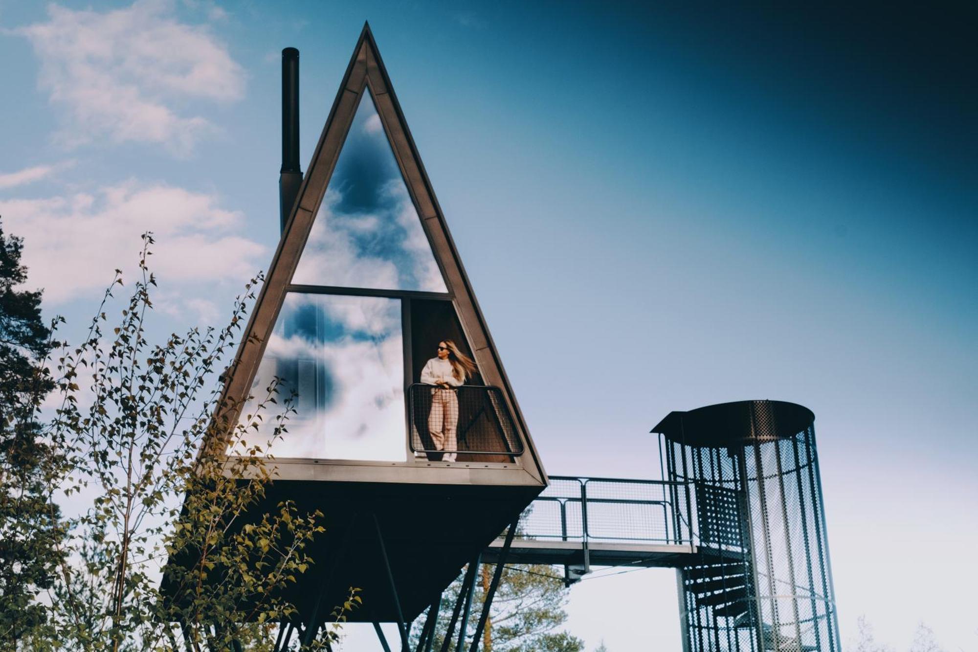 Lodge Pan Treetop