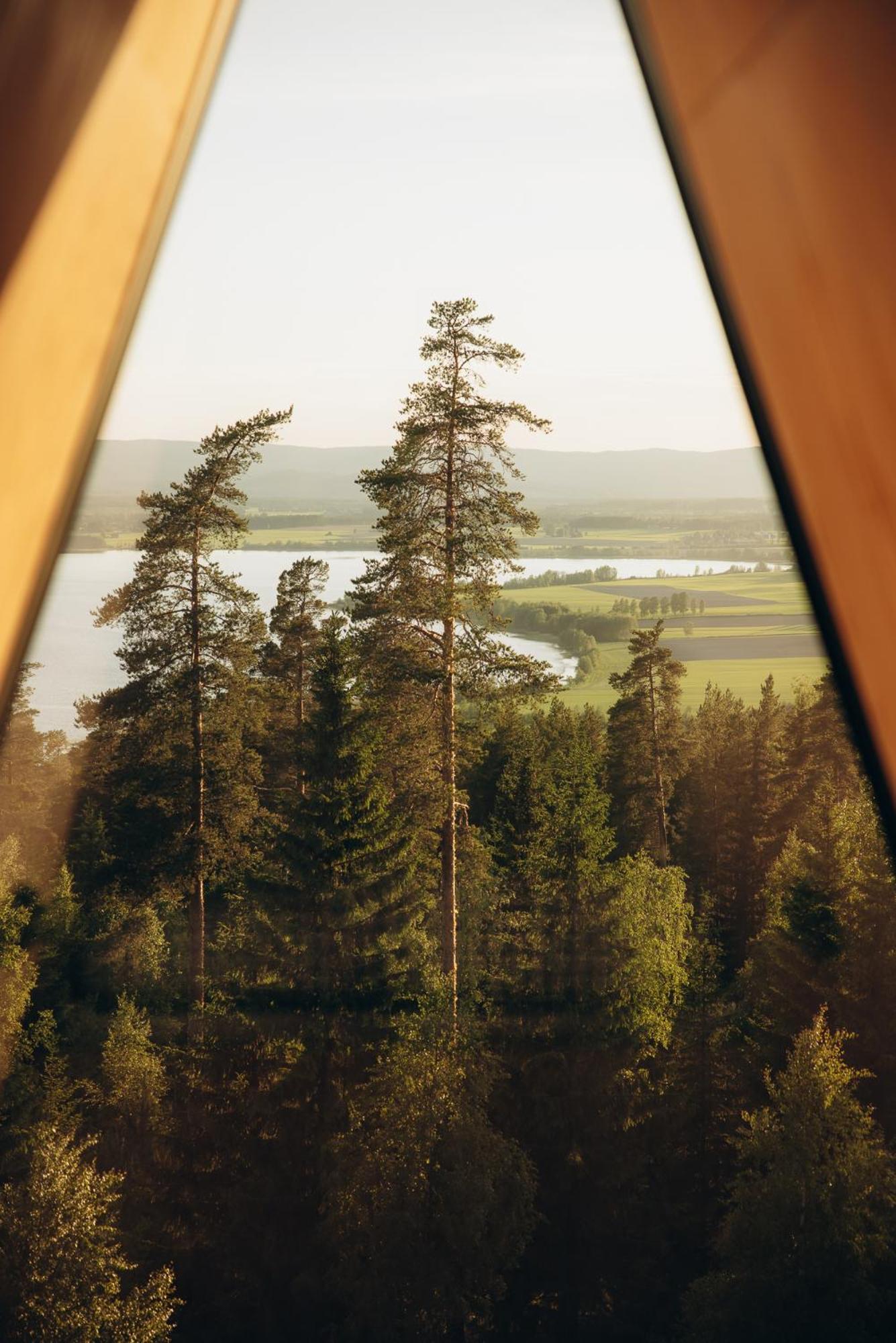 Lodge Pan Treetop Asnes