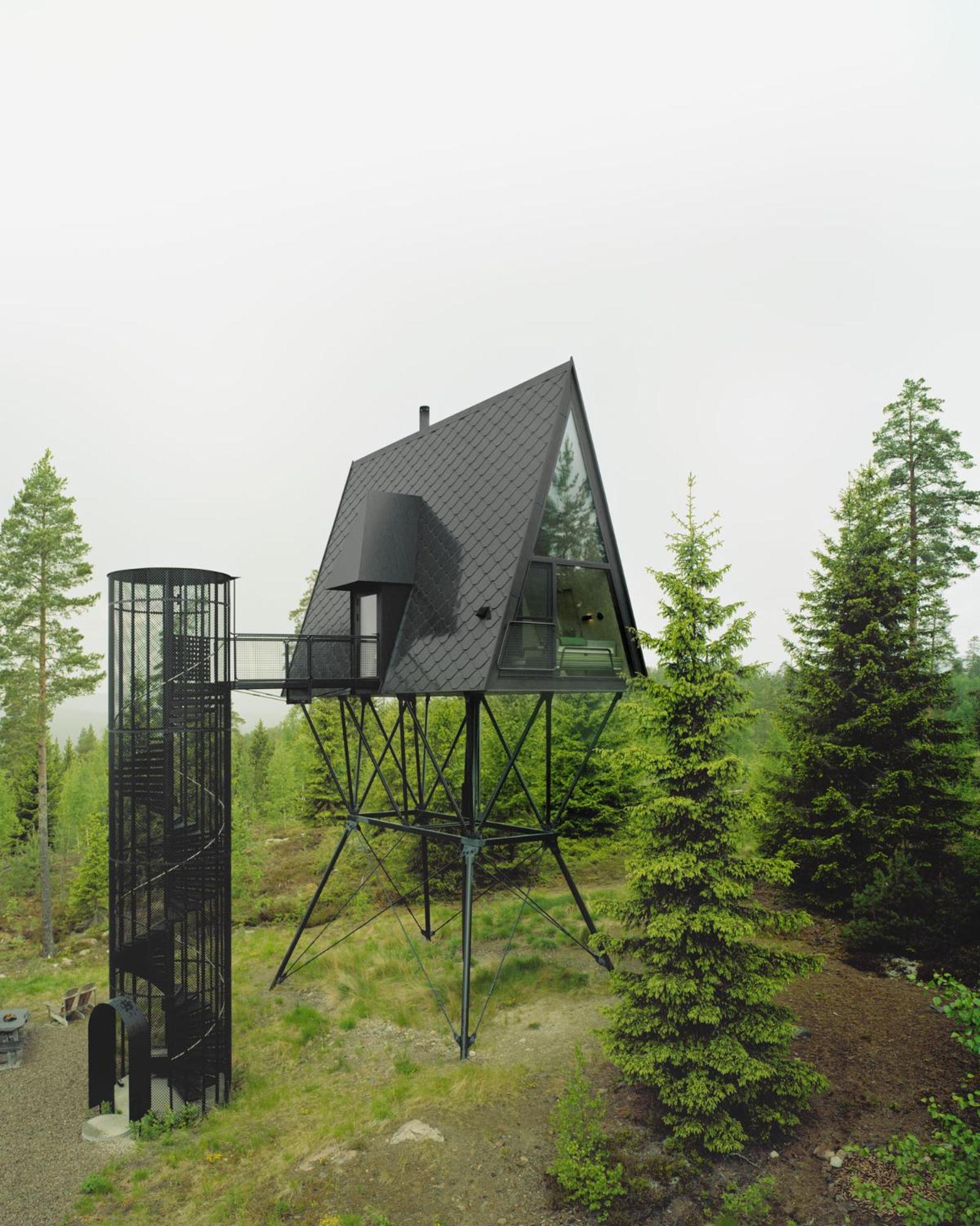 Pan Treetop * Asnes