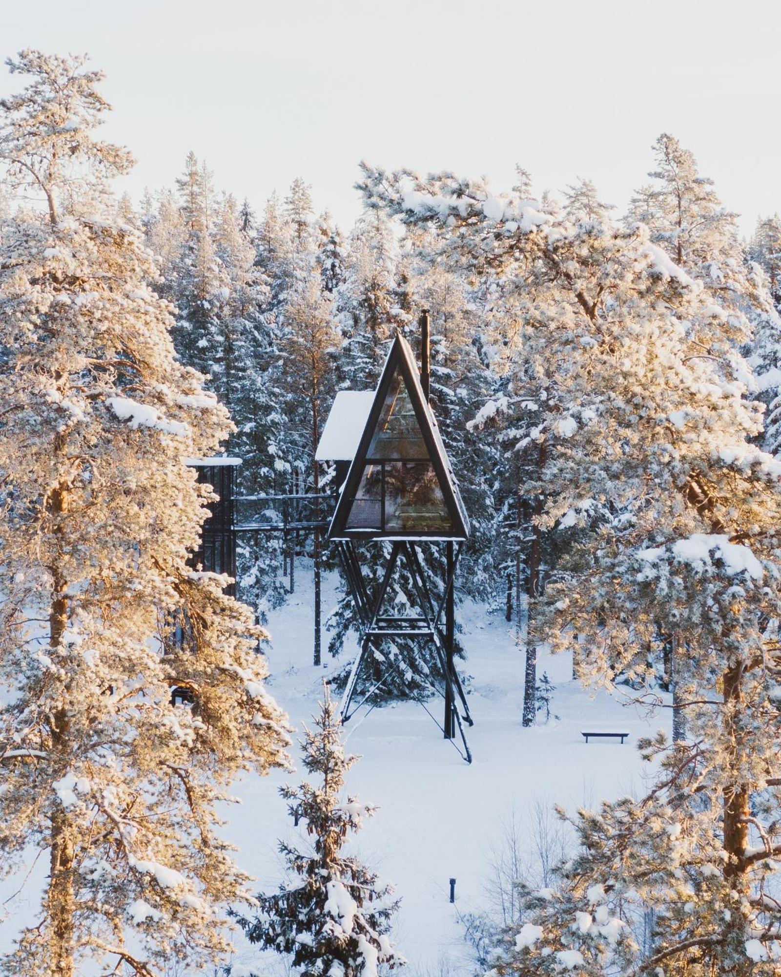Lodge Pan Treetop Asnes