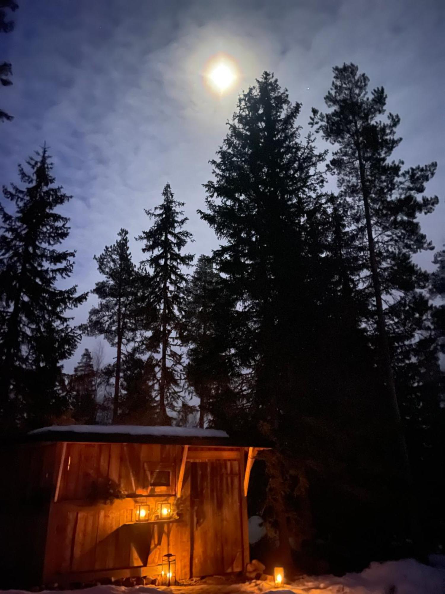 Pan Treetop Lodge *