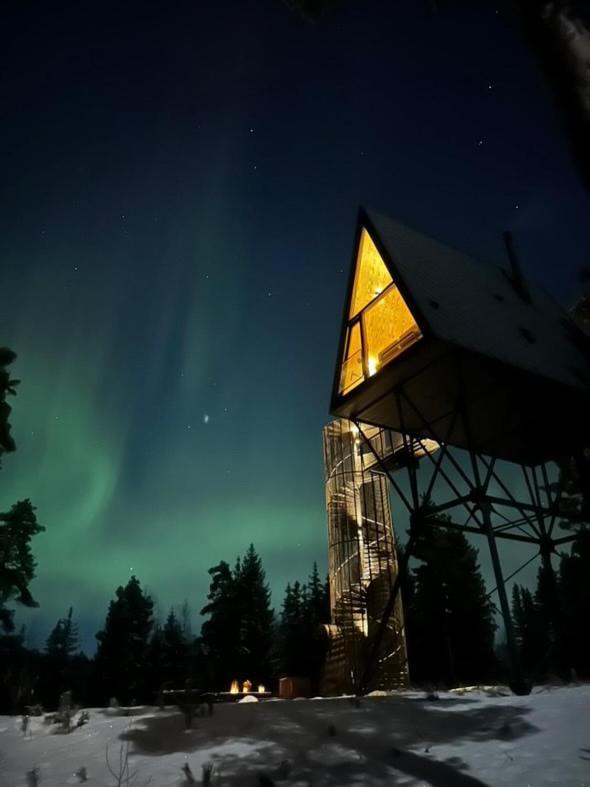Lodge Pan Treetop Asnes